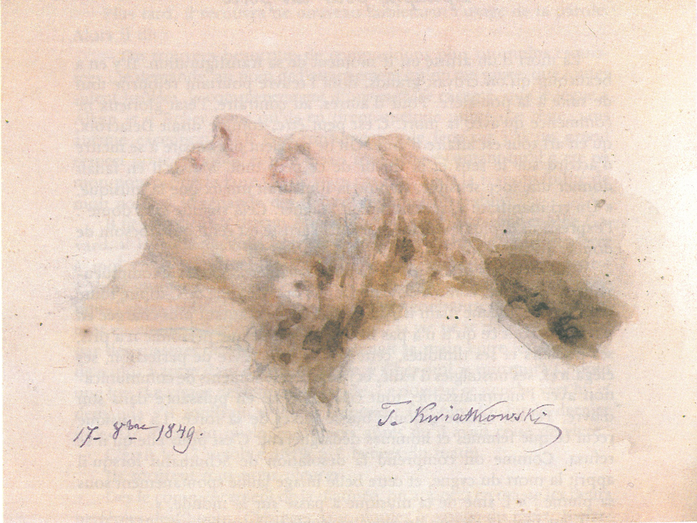 Chopin sur son lit de mort.
